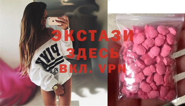 стаф Алзамай