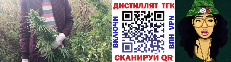 где купить наркотик  Богородицк  Дистиллят ТГК гашишное масло 